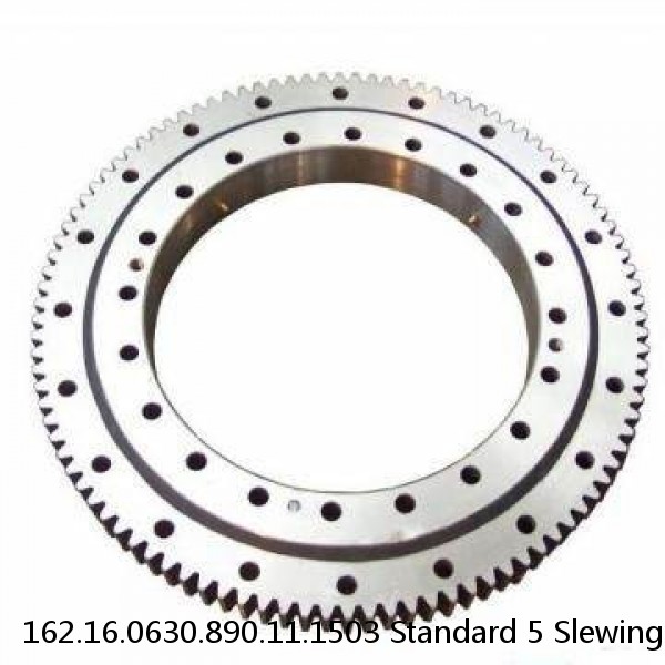 162.16.0630.890.11.1503 Standard 5 Slewing Ring Bearings