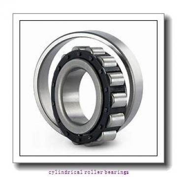 Link-Belt M1305UV Cylindrical Roller Bearings