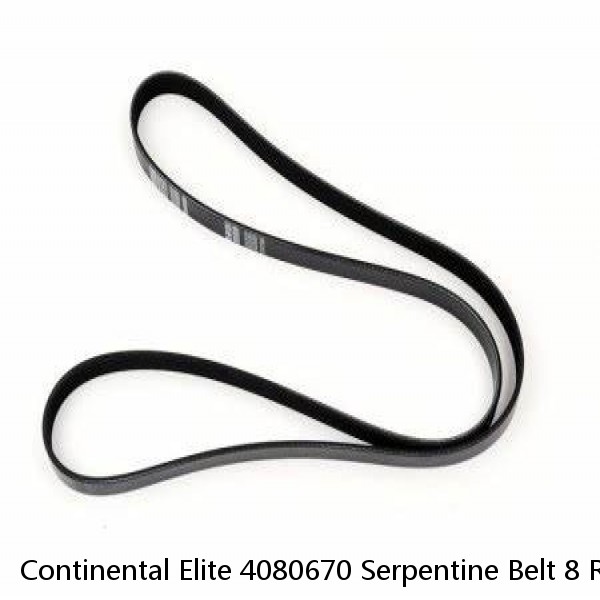 Continental Elite 4080670 Serpentine Belt 8 Rib 67 In