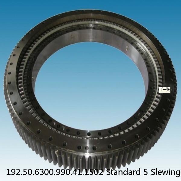 192.50.6300.990.41.1502 Standard 5 Slewing Ring Bearings