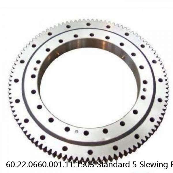 60.22.0660.001.11.1503 Standard 5 Slewing Ring Bearings