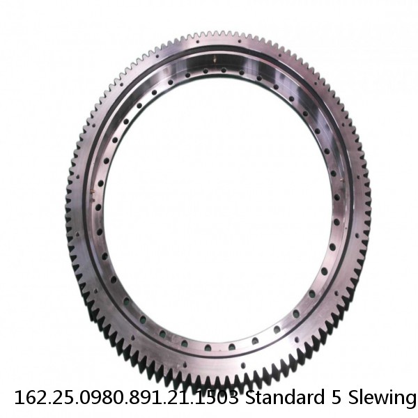 162.25.0980.891.21.1503 Standard 5 Slewing Ring Bearings