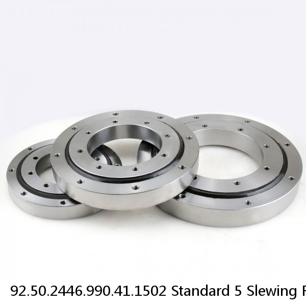 92.50.2446.990.41.1502 Standard 5 Slewing Ring Bearings #1 small image