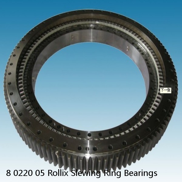 8 0220 05 Rollix Slewing Ring Bearings #1 small image