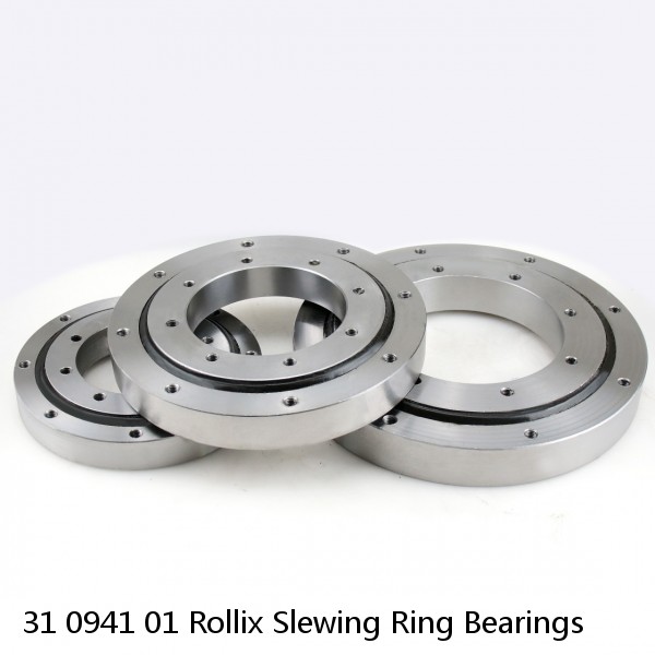31 0941 01 Rollix Slewing Ring Bearings #1 small image