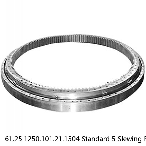 61.25.1250.101.21.1504 Standard 5 Slewing Ring Bearings #1 small image