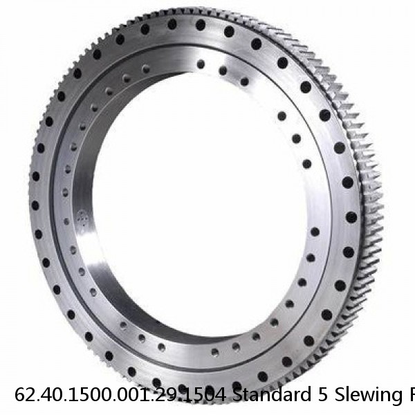 62.40.1500.001.29.1504 Standard 5 Slewing Ring Bearings #1 small image