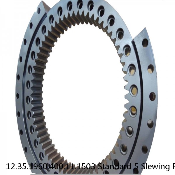 12.35.1960.400.11.1503 Standard 5 Slewing Ring Bearings #1 small image