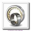 35 mm x 80 mm x mm  Rollway N 307 EM Cylindrical Roller Bearings #1 small image