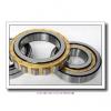 Link-Belt M1311EX Cylindrical Roller Bearings
