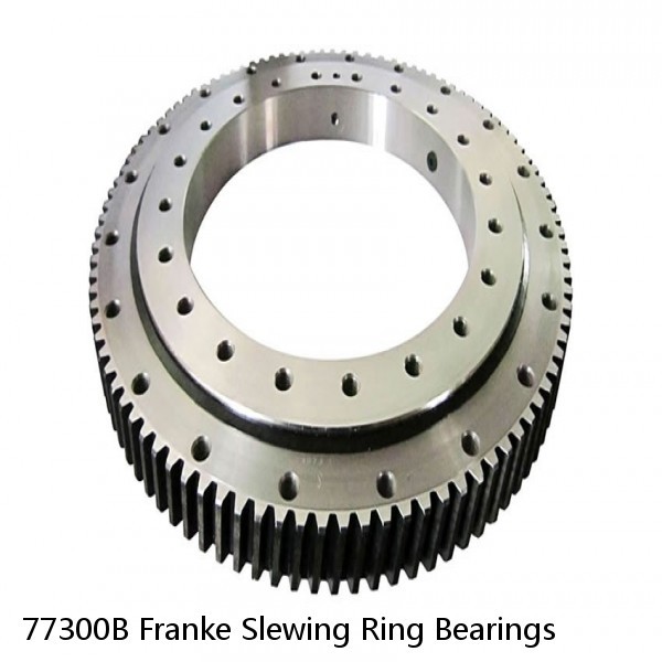 77300B Franke Slewing Ring Bearings #1 image