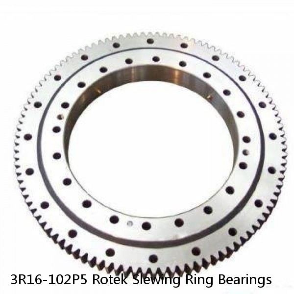3R16-102P5 Rotek Slewing Ring Bearings #1 image