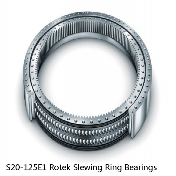 S20-125E1 Rotek Slewing Ring Bearings #1 image