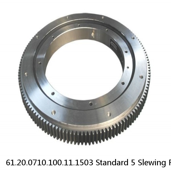 61.20.0710.100.11.1503 Standard 5 Slewing Ring Bearings #1 image