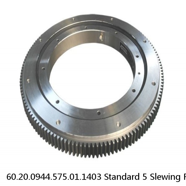 60.20.0944.575.01.1403 Standard 5 Slewing Ring Bearings #1 image