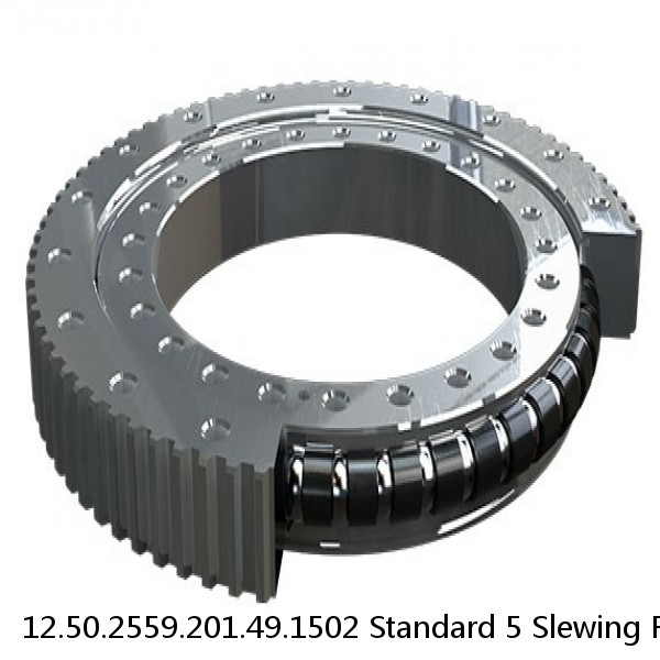 12.50.2559.201.49.1502 Standard 5 Slewing Ring Bearings #1 image