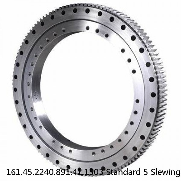 161.45.2240.891.41.1503 Standard 5 Slewing Ring Bearings #1 image