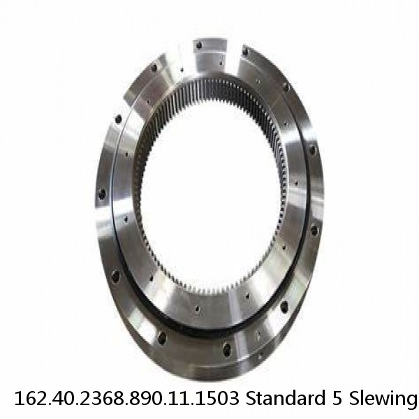 162.40.2368.890.11.1503 Standard 5 Slewing Ring Bearings #1 image