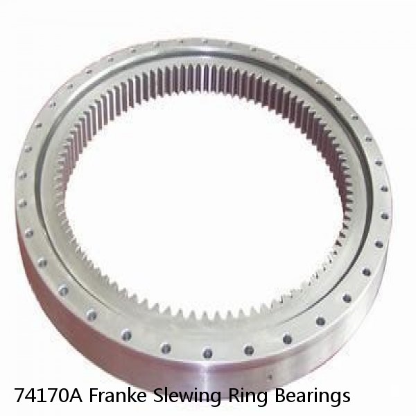 74170A Franke Slewing Ring Bearings #1 image