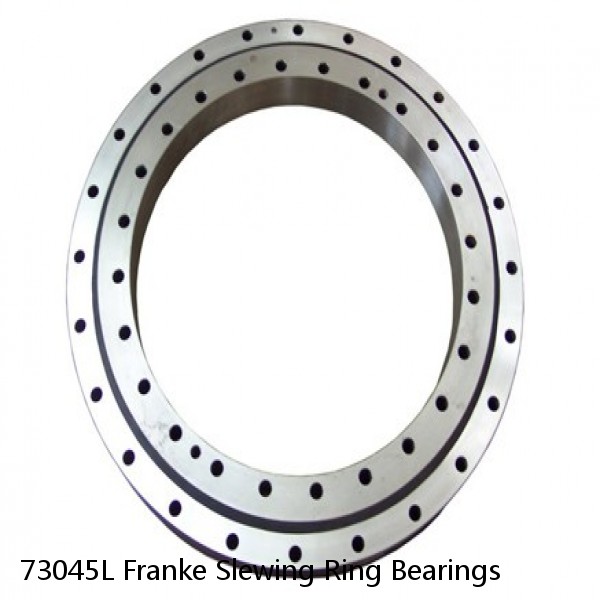 73045L Franke Slewing Ring Bearings #1 image