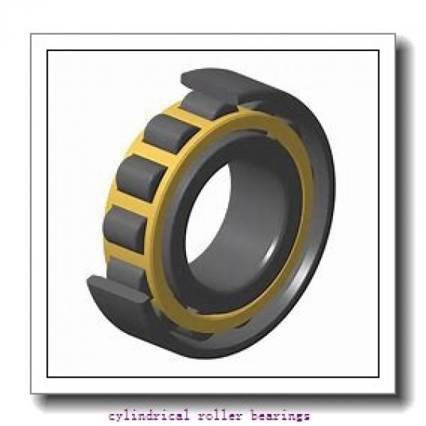 130 mm x 230 mm x 23 mm  Rollway U1226LMR Cylindrical Roller Bearings #1 image