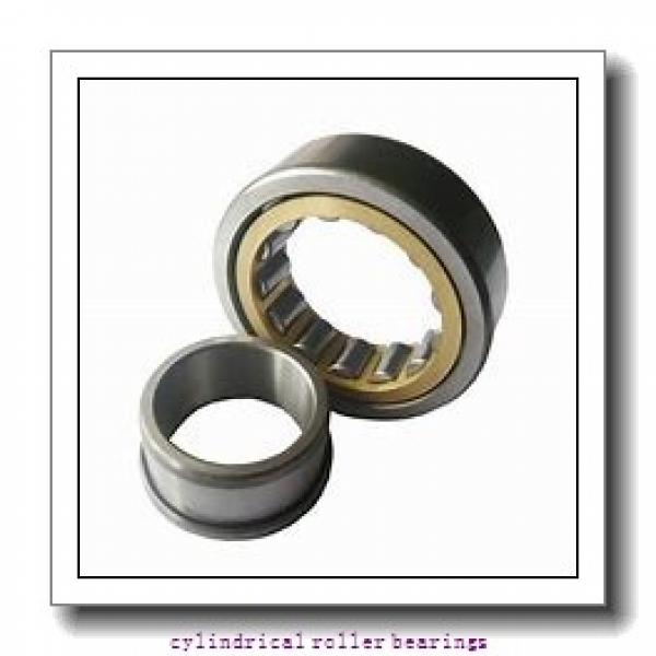 35 mm x 80 mm x mm  Rollway NJ 307 EM Cylindrical Roller Bearings #1 image