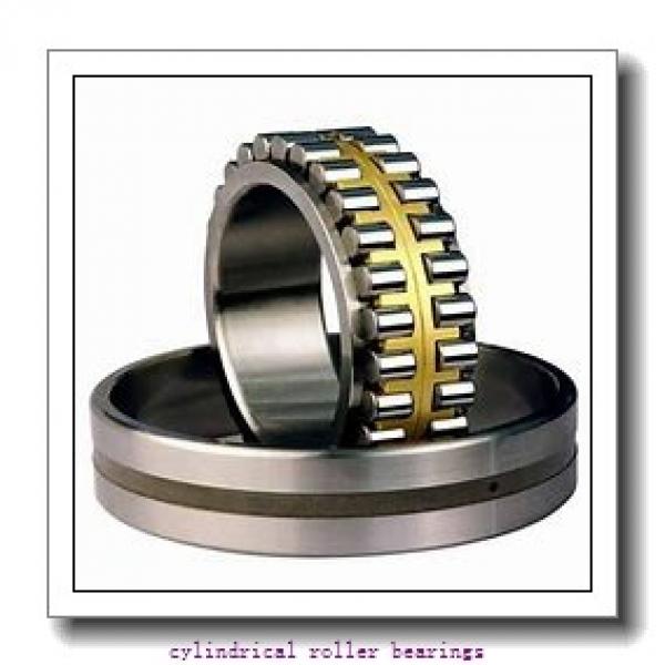 105 mm x 225 mm x mm  Rollway NU 321 EM C3 Cylindrical Roller Bearings #1 image