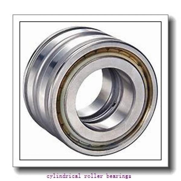 35 mm x 80 mm x mm  Rollway NU 307 EM C3 Cylindrical Roller Bearings #1 image