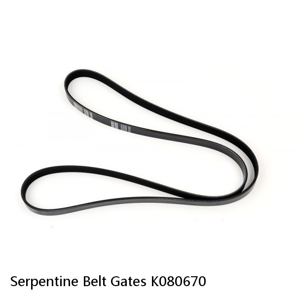 Serpentine Belt Gates K080670 #1 image