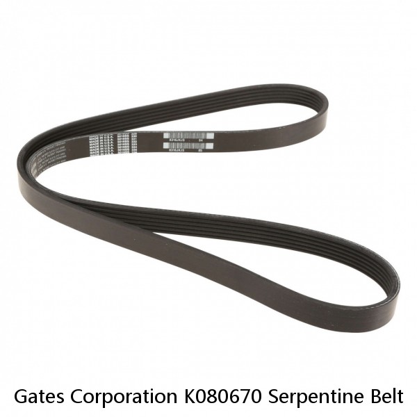 Gates Corporation K080670 Serpentine Belt   Micro V Serpentine Drive Belt #1 image